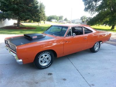 roadrunner.jpg roadrunner.jpg