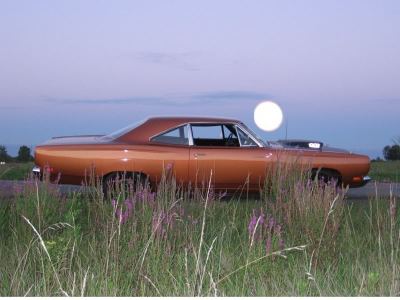 IMG_2124a.jpg IMG_2124a.jpg