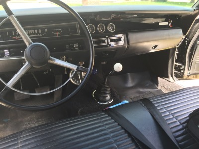 IMG_2955.jpg IMG_2955.jpg