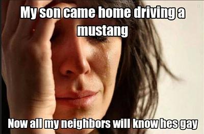 Car%20Babe%20Mustang%20Owner%201_zps9ln4x6m3.jpg