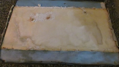 IMG_0290-Copy.jpg IMG_0290-Copy.jpg