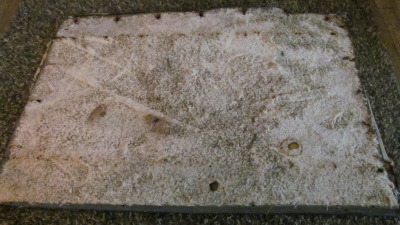 IMG_0291-Copy.jpg IMG_0291-Copy.jpg