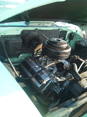 IMG_20120831_173932.jpg IMG_20120831_173932.jpg