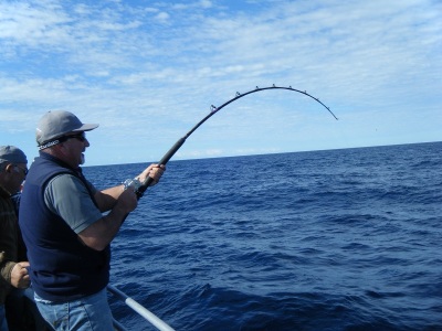 Fish-3p.jpg Fish-3p.jpg