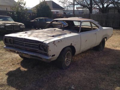 roadrunner1969231.jpg roadrunner1969231.jpg