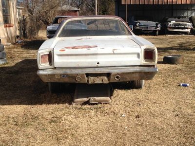 roadrunner1969321.jpg roadrunner1969321.jpg