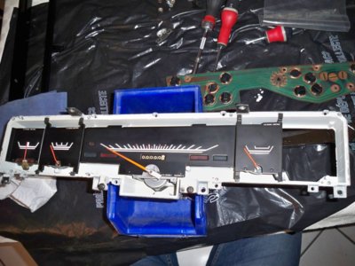 100_5561.JPG 100_5561.JPG