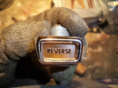 100_5567.JPG 100_5567.JPG