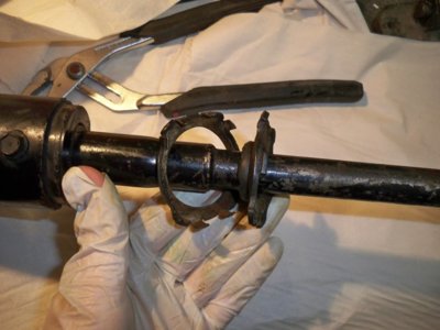 100_5571.JPG 100_5571.JPG