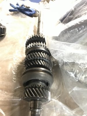 IMG_8010.JPG IMG_8010.JPG