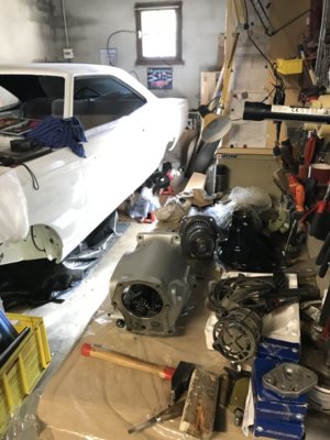 IMG_8070.JPG IMG_8070.JPG