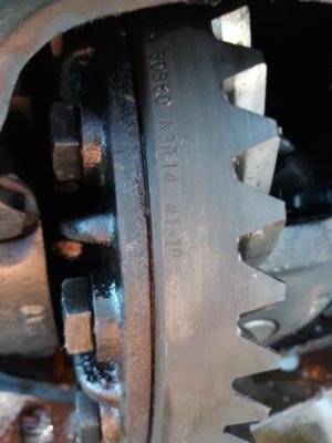 20191111_081701.jpg 20191111_081701.jpg