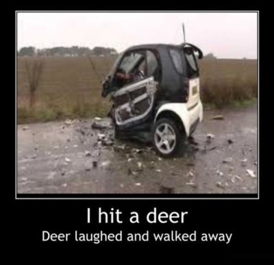 6F6BEE99-8684-4795-A66C-AB395CD2D10E.jpeg