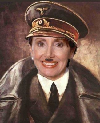 NancyPelosiHitler.jpg