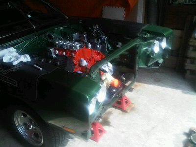 Bird apart..jpg Bird apart..jpg