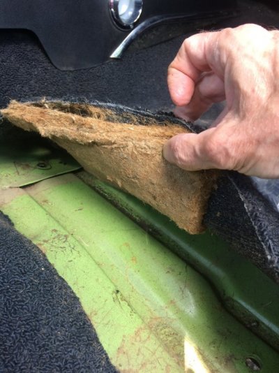 UnderCarpet.JPG UnderCarpet.JPG