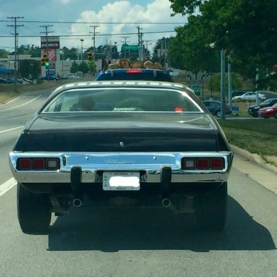 rr-back-noplate.JPG rr-back-noplate.JPG