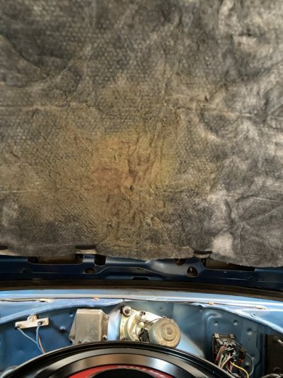 2246A3EA-1C53-4044-B9DA-5AFF8865532D.jpeg 2246A3EA-1C53-4044-B9DA-5AFF8865532D.jpeg