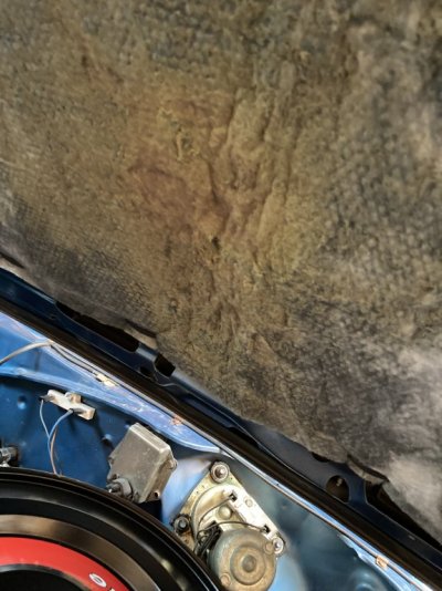 7C4F8EA9-1CAB-4A50-A27E-1FB2F97DBC85.jpeg 7C4F8EA9-1CAB-4A50-A27E-1FB2F97DBC85.jpeg