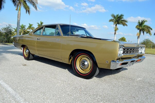 more of right side from front Roadrunner2-1-2018 052 resized .JPG more of right side from front Roadrunner2-1-2018 052 resized .JPG