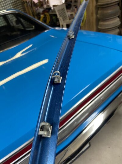 533047CF-D3F0-40E6-88B2-8445F3EF49A3.jpeg 533047CF-D3F0-40E6-88B2-8445F3EF49A3.jpeg