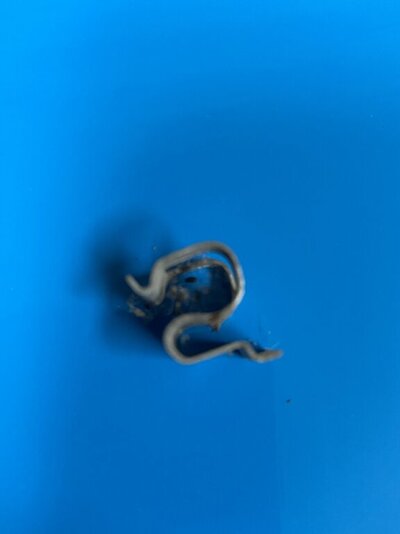 B95CD5B0-AA08-4D70-B7C0-33230D8F479B.jpeg B95CD5B0-AA08-4D70-B7C0-33230D8F479B.jpeg