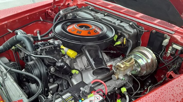 20200313_115239.jpg 20200313_115239.jpg