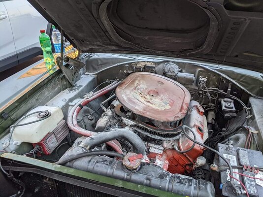 1147B283-433B-4A40-B37A-831E1E8B64B7.jpeg 1147B283-433B-4A40-B37A-831E1E8B64B7.jpeg