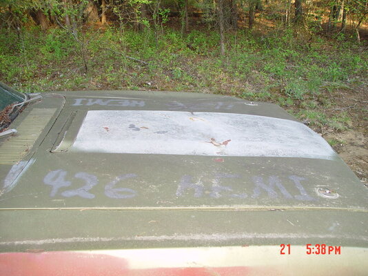 Roadrunner 007.JPG Roadrunner 007.JPG