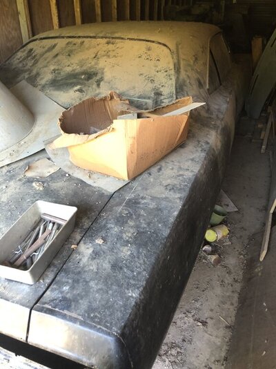 A291E478-B187-41D9-8F24-F854AD1FD538.jpeg A291E478-B187-41D9-8F24-F854AD1FD538.jpeg