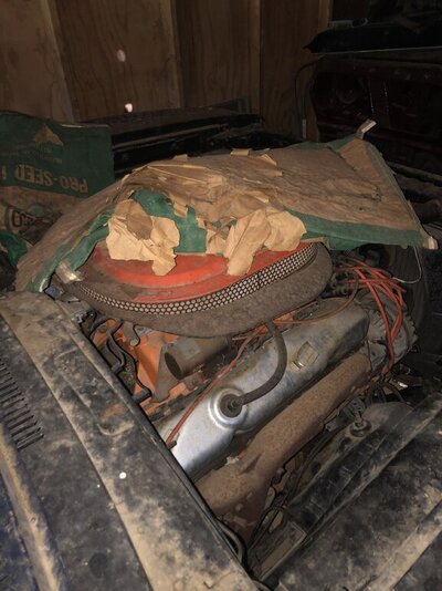 7227D57E-13E9-4921-90DD-4CB6FEFE4C2E.jpeg 7227D57E-13E9-4921-90DD-4CB6FEFE4C2E.jpeg