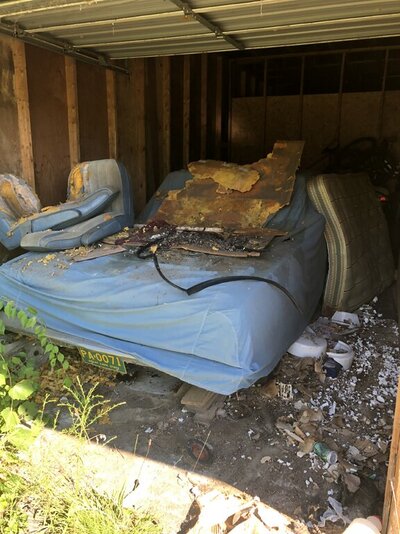 F763A45F-7425-4D24-A165-F41A3CB085A6.jpeg F763A45F-7425-4D24-A165-F41A3CB085A6.jpeg