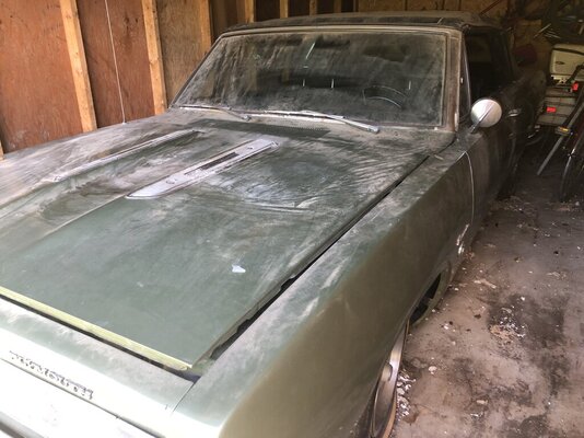 F3963FF8-C2C8-4250-84BD-007550E950F7.jpeg F3963FF8-C2C8-4250-84BD-007550E950F7.jpeg