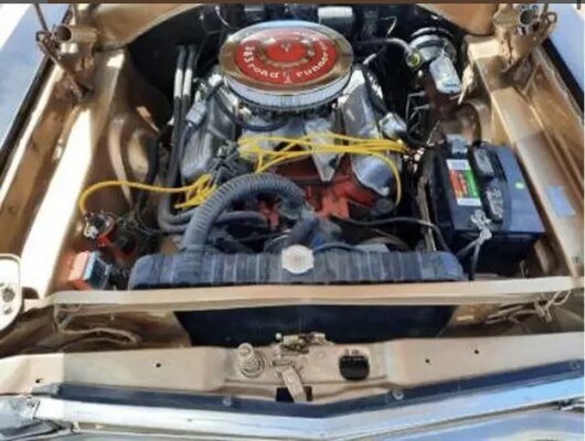 A086ED64-310E-40B3-A63C-03521233FE67.jpeg A086ED64-310E-40B3-A63C-03521233FE67.jpeg