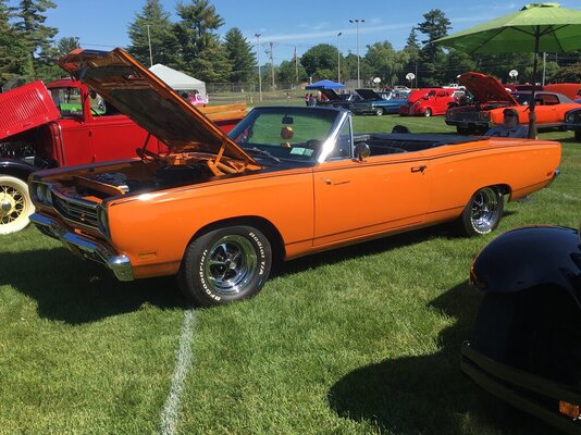 Road Runner.JPG Road Runner.JPG