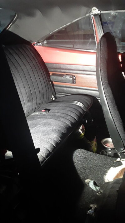 20230312_100450 - Copy.jpg 20230312_100450 - Copy.jpg