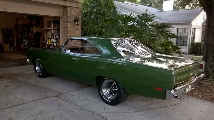 roadrunner_in_driveway.jpg roadrunner_in_driveway.jpg