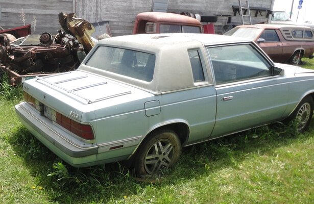 28MAY2023 E.JPG 28MAY2023 E.JPG