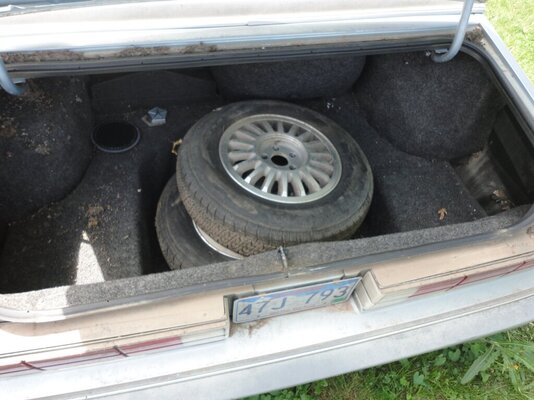 28MAY2023 M.JPG 28MAY2023 M.JPG