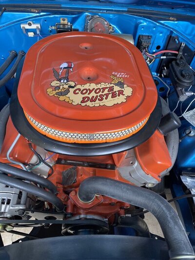 IMG_1916.jpeg IMG_1916.jpeg