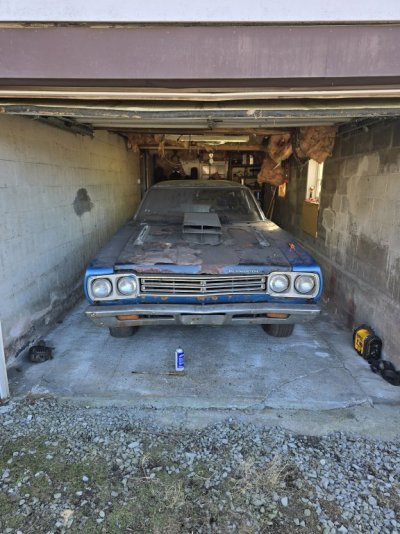 20250308_160502.jpg 20250308_160502.jpg