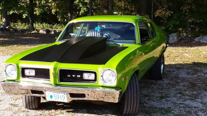 Jerry`s Mopagoat.jpg Jerry`s Mopagoat.jpg