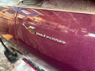 IMG_0089.jpg
