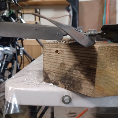 20230805_105407 (1).jpg