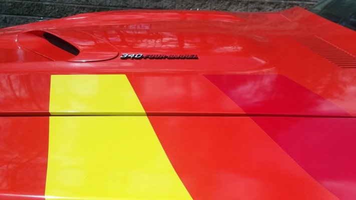 cuda stripes hood.jpg