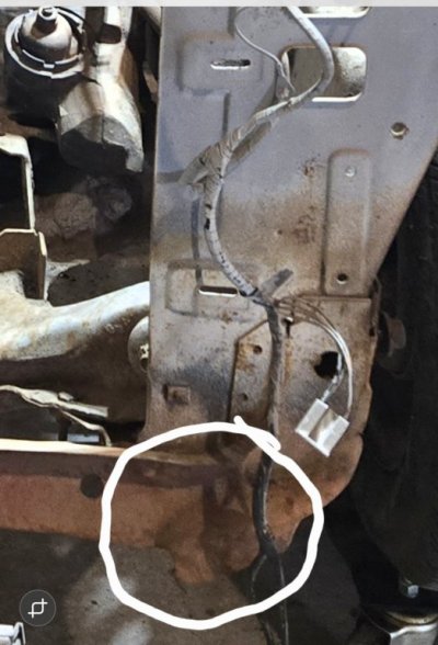 1000010465.jpg 1000010465.jpg