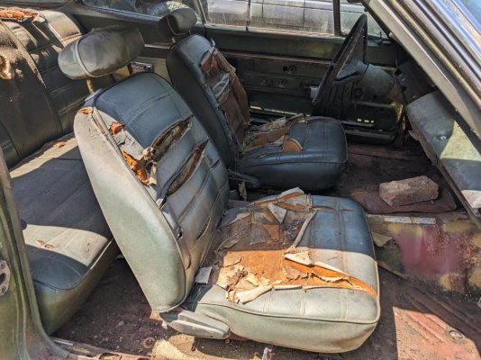 PXL_20250412_162813588.jpg PXL_20250412_162813588.jpg