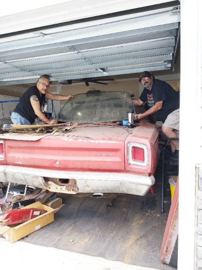 IMG_20240609_120714306.jpg IMG_20240609_120714306.jpg