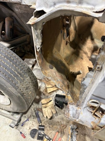 IMG_5395.jpeg IMG_5395.jpeg