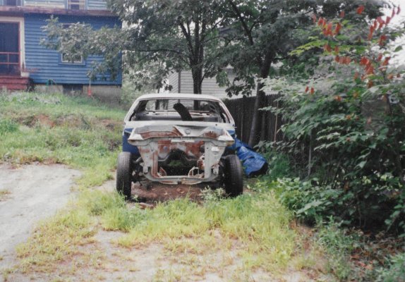 Barracuda stripped.jpg